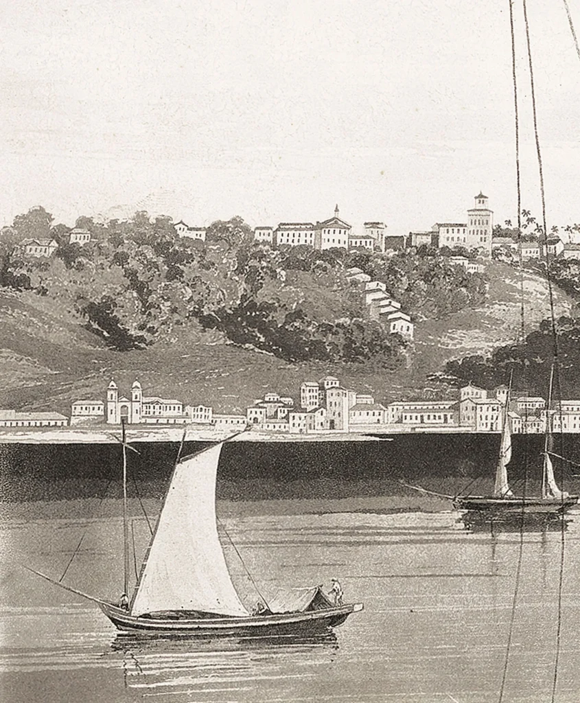 icon595634 DETALHE 1920w